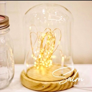 Đèn chụp Thuỷ Tinh / Firefly Light / Đèn trang trí