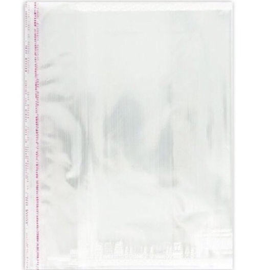 Túi 10 tờ bọc nilon khổ A4, KT: 210x297mm Hồng Hà 3389