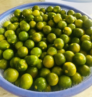 Tắc Chưng Đường Phèn