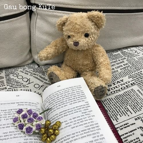 Gấu bông Teddy