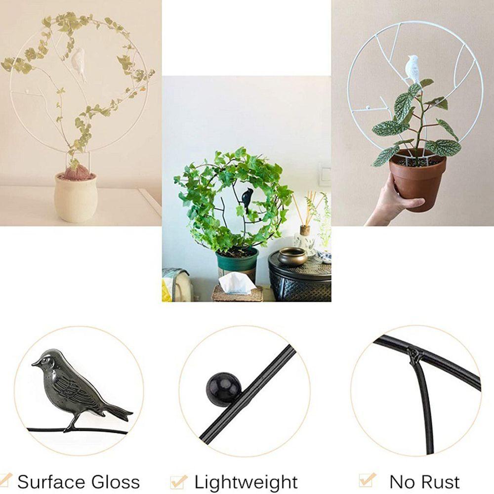 Giá Đỡ Cây Dây Leo Bằng Kim Loại Tiện Dụng