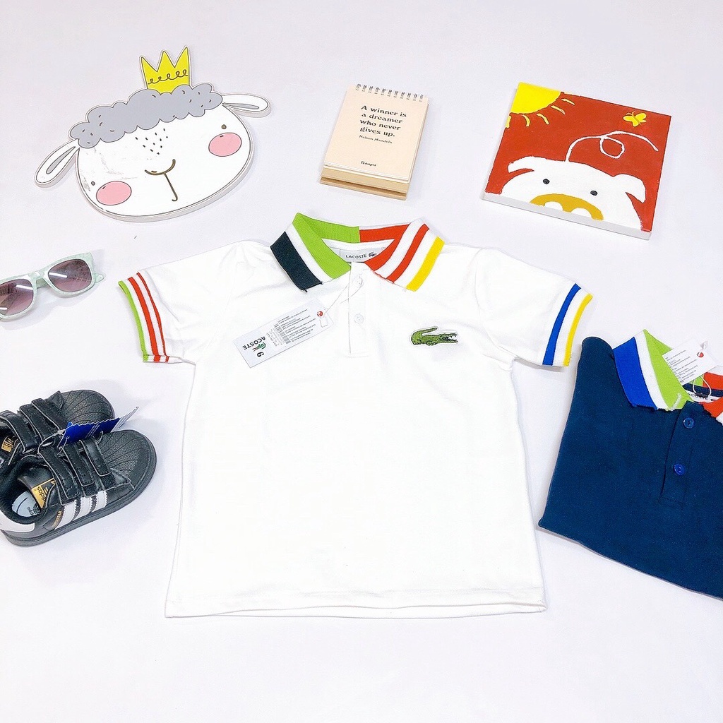 Áo phông lacoste trắng cổ kẻ