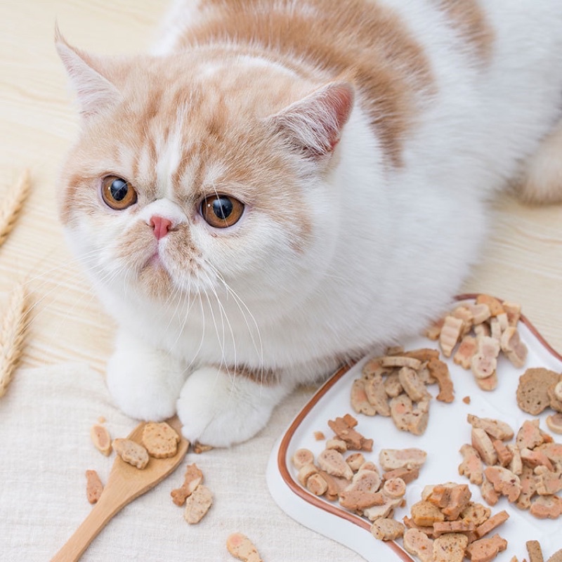 Bánh Thưởng Cá Viên Inaba Cho Mèo (Vị Ngẫu Nhiên)