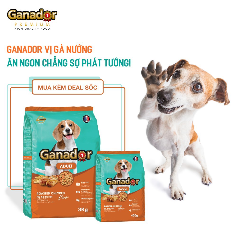 [20kg] Hạt Ganador Cho Chó Trưởng Thành Vị Gà Quay Bao 50 túi 400g