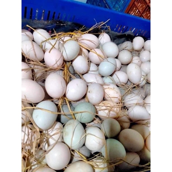 Trứng gà ta, trứng vịt đồng ở quê (10 qủa)
