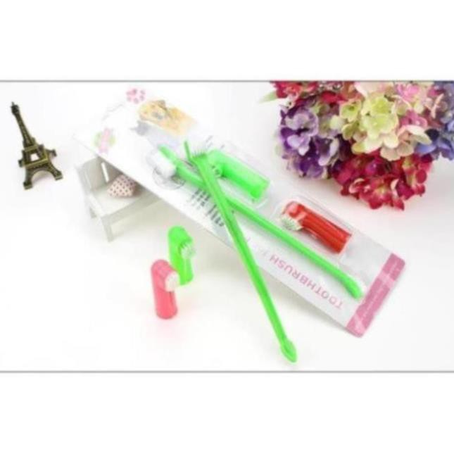 Bàn chải răng và Kem đánh răng chó mèo thú cưng Giúp răng miệng thơm tho hết thối mồm