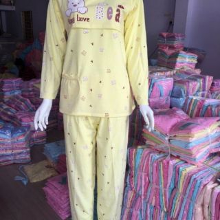 Combo 20 bộ gấu bear