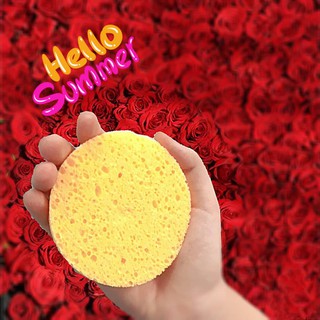 Cọ mút 2 đầu MIRA Sponge puff C328