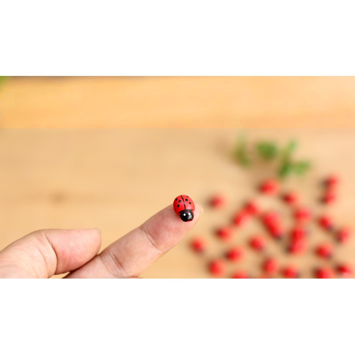 ❤❤Bọ Rùa Gỗ Dễ Thương❤❤ Phụ Kiện Trang Trí Tiểu Cảnh Sen Đá, Terrarium, Decord Mô Hình