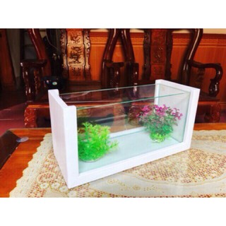 Bể cá khung gỗ màu trắng cỡ lớn 40cm(tặng thức ăn cá+ cây nhựa)