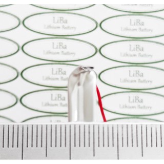 Pin Lithium Polyme (Lipo) 3.7V 750mAh 503048 B _ LiBa