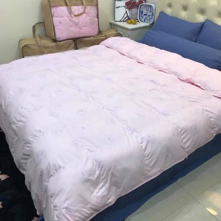 Ruột chăn lông vũ đại hàn 2019 (ảnh thật)