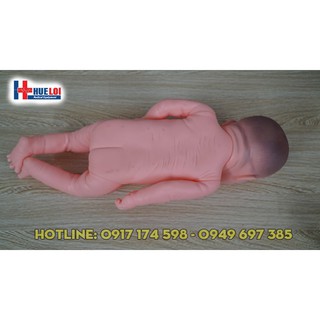 Mô hình em bé sơ sinh