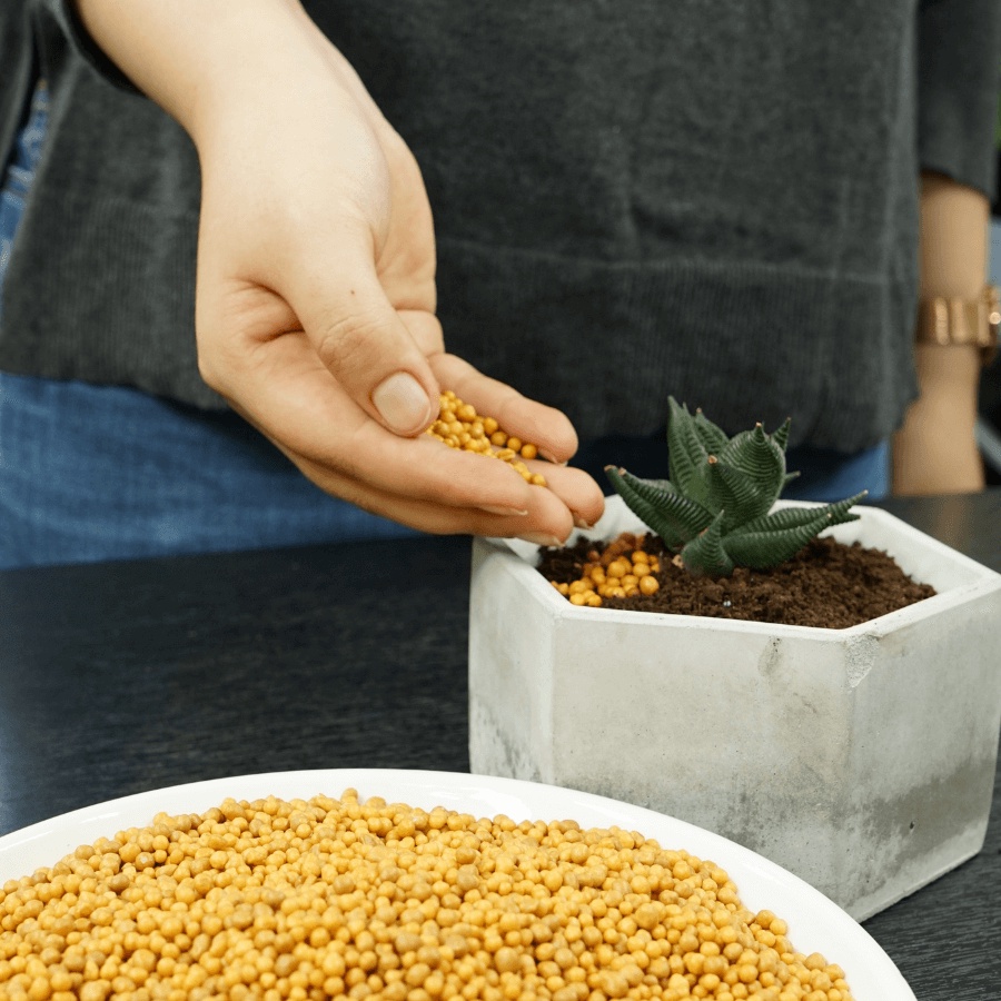 Phân vàng tan chậm Osmocote nhập khẩu Hà Lan , dùng cho mọi loại cây trồng