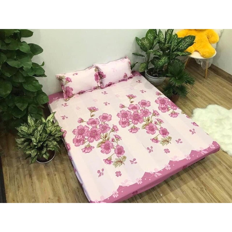 [Freeship] Bộ ga chun chăn hè kèm 2 vỏ gối (tặng kèm 1 vỏ gối ôm) | BigBuy360 - bigbuy360.vn