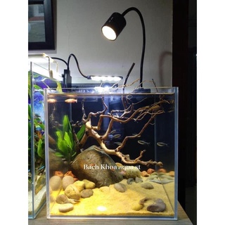 Đèn Led rọi Coco 3 chế độ màu cho bể cá