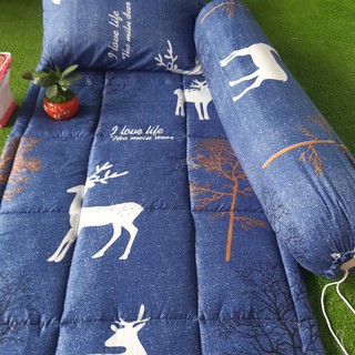 Nệm văn phòng 80x190cm - giá xưởng- giao ngẫu nhiên