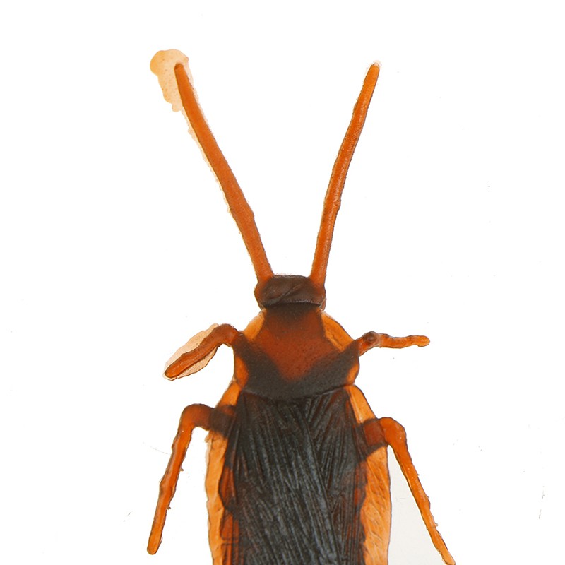 12 Gián Giả Trang Trí Halloween