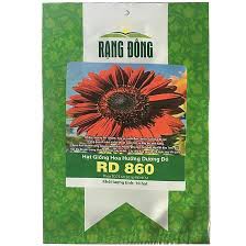 Hướng dương đỏ RD 860