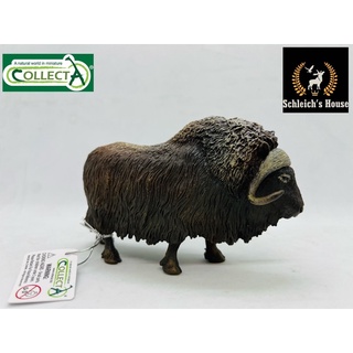 Mô hình động vật , đồ chơi con vật CollectA chính hãng bò Musk Ox 88837 - Schleich House
