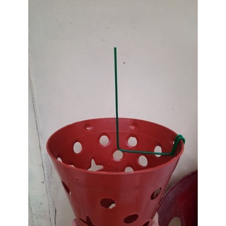 QUE KẸP CHẬU GIỮ KIE CHO LAN CON.