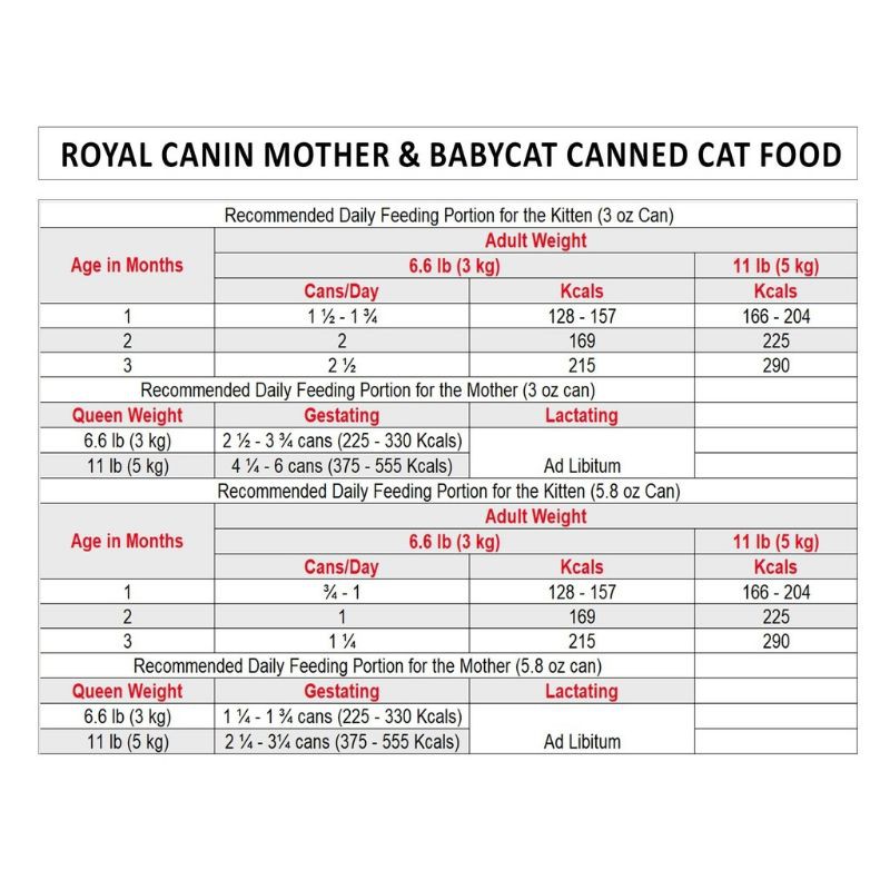 Thức ăn cho mèo nuôi con Royal Canin Mother& BabyCat - túi 4kg