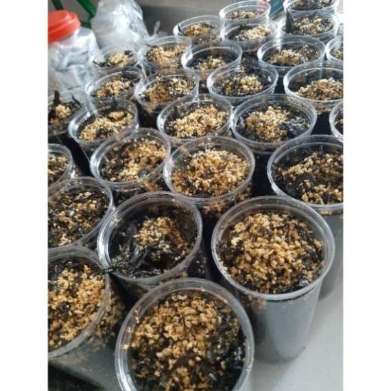 150gr Rong Biển Sấy Tỏi giòn, thơm #FREESHIP ĐƠN TỪ 50K
