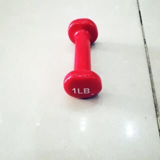 2 quả tạ tay 0,5kg