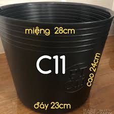 50 chậu trồng cây, ươm cây C11