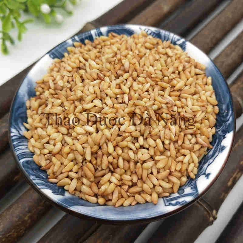 Bá Tử Nhân Loại 1  Sao vàng hạ thổ 100 gram.