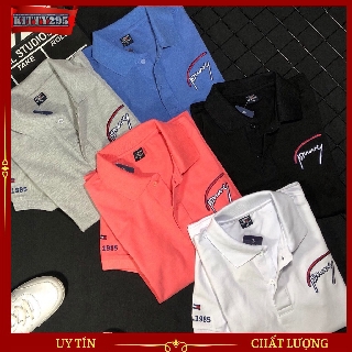 Áo Thun Nam Cổ Bẻ 295-AT30 Chất Thun Cá Sấu Thêu Logo Phong Cách Hàn Quốc - 5 Màu _KITTY295