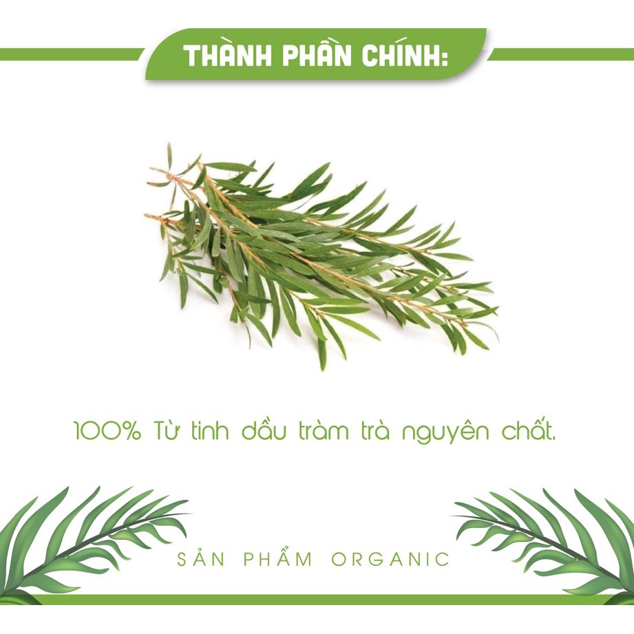 Tinh Dầu Thiên Nhiên Tràm Trà nguyên chất nhập khẩu Ấn Độ, Tinh Dầu AN AN 10ml