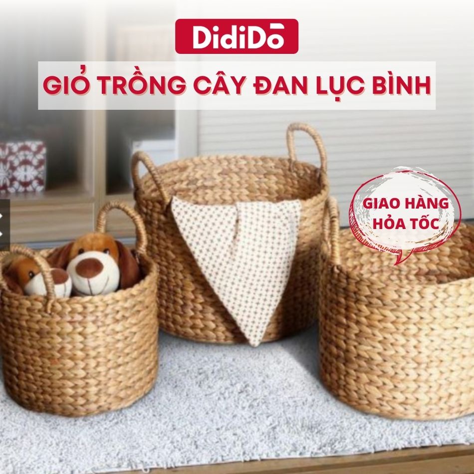 Giỏ đựng đồ trồng cây đan lục bình các size