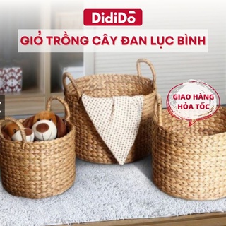 Giỏ đựng đồ trồng cây đan lục bình các size