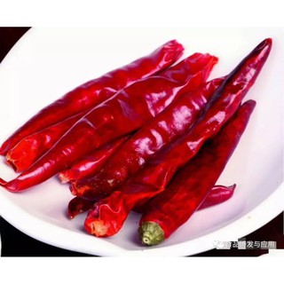 ớt sừng (trái to) phơi khô