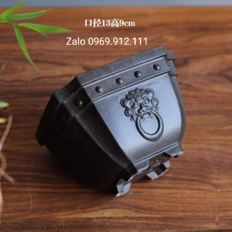 Chậu Tàu bonsai mini