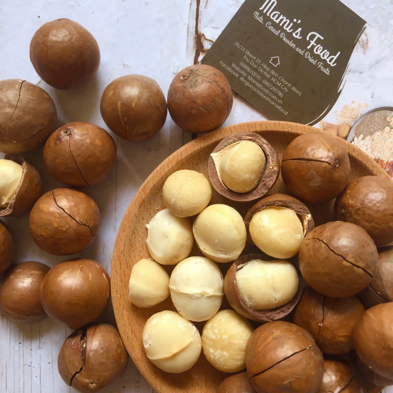 Combo làm sữa hạt bổ dưỡng cho bé