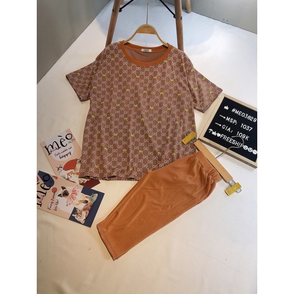 [Chuyên Sỉ] Bộ thun ngố Gucci đơn giản mà cá tính. Chất thun co dãn hình in sắc nét