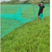 Dớn chặn sông, dớn bắt cá, lưới bắt cá