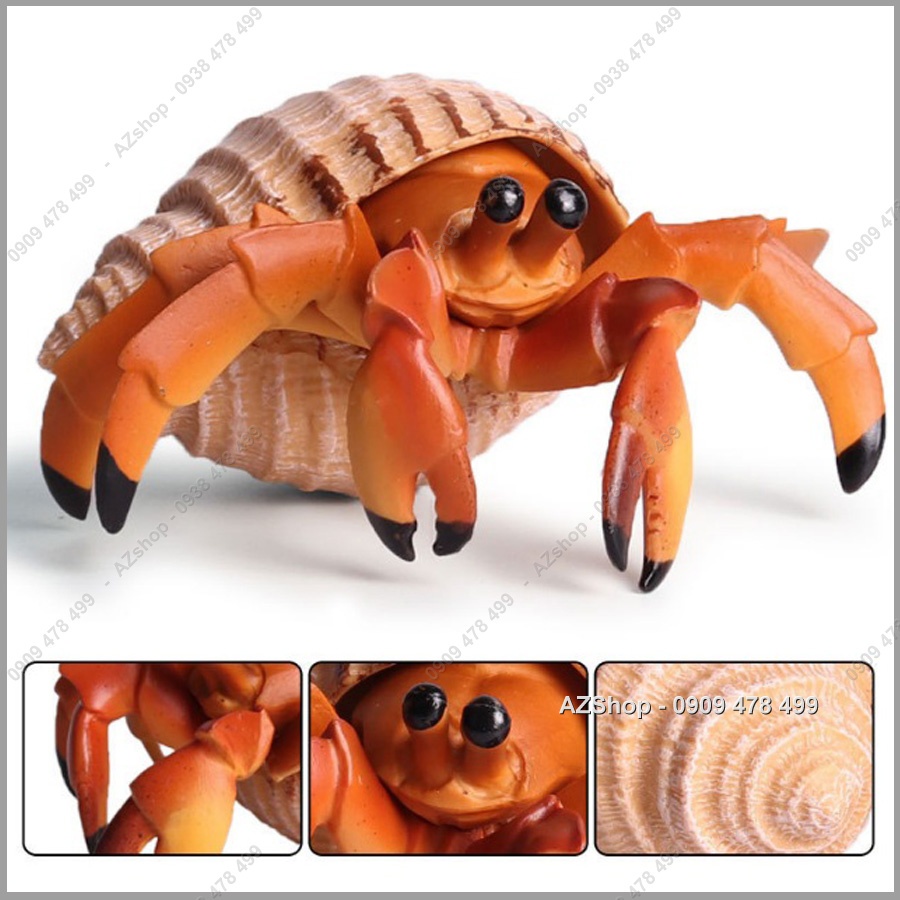 Mô Hình Ốc Mượn Hồn Sống Động - 7670.1