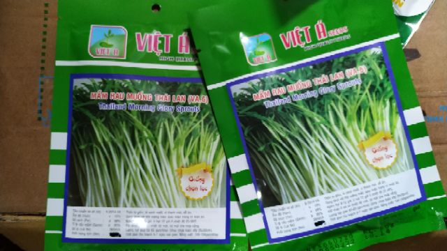 HẠT GIỐNG RAU MẦM RAU MUỐNG - 50G