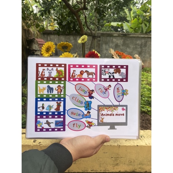 HỌC LIỆU Sơ đồ tư duy Mind map, bé học Tiếng Anh