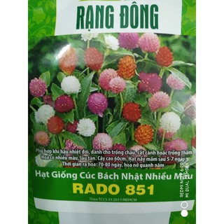 Hạt giống Hoa Cúc bách nhật nhiều màu ❤️FREESHIP XTRA❤️