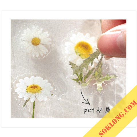 Sticker hoa lá Vintage trang trí, miếng nhán dãn hình hoa lá dán sổ, điện thoại Tuệ Minh