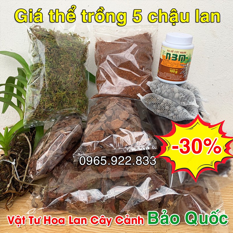 Giá thể trồng lan tốt nhất đầy đủ 5 chậu về chỉ việc chơi