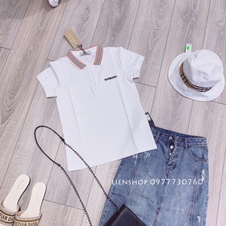 Bán sỉ áo polo BBR cho nữ