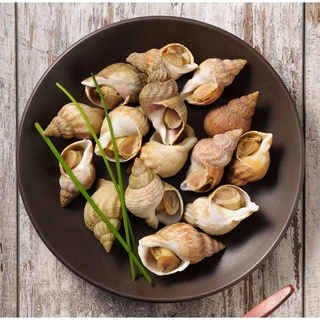 Ốc bulot pháp 500gr