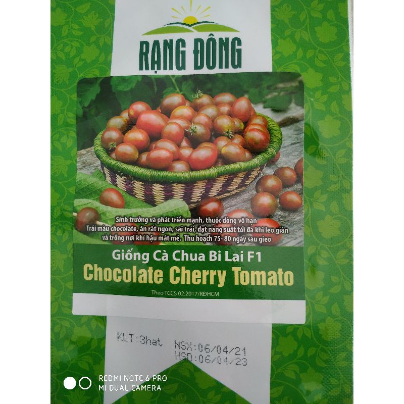 Hạt giống Cà chua Cherry Socola 3 hạt ❤️FREESHIP EXTRA❤️