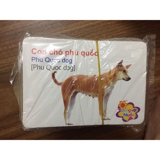loto các loại