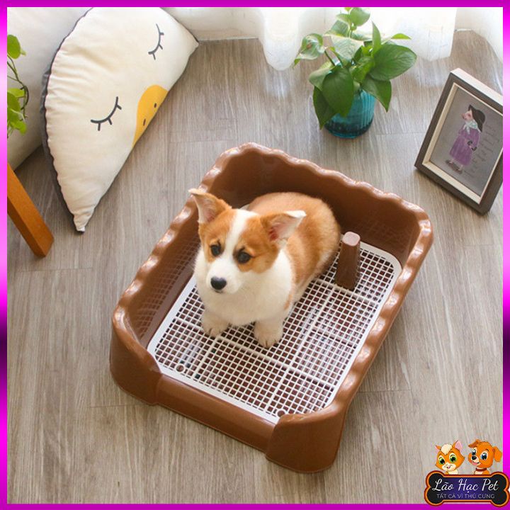 Khay vệ sinh cho chó thành cao - Loại DÀY  - Size 40x40x15cm - Ngăn chất bản ra ngoài, dễ dàng vệ sinh